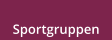 Sportgruppen