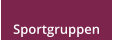 Sportgruppen